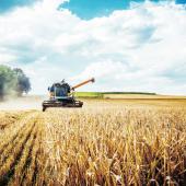Combine harvesters Agricultural machinery. The machine for harvesting grain crops. Combine harvesters Agricultural machinery. The machine for harvesting grain crops.